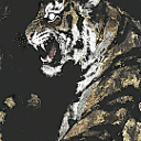 蛇叔