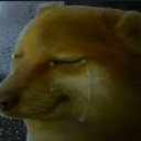 上上课