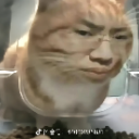 听泉鉴逼