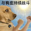 狗庄来电